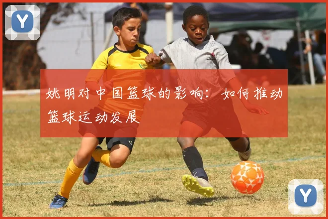 姚明对中国篮球的影响:如何推动篮球运动发展