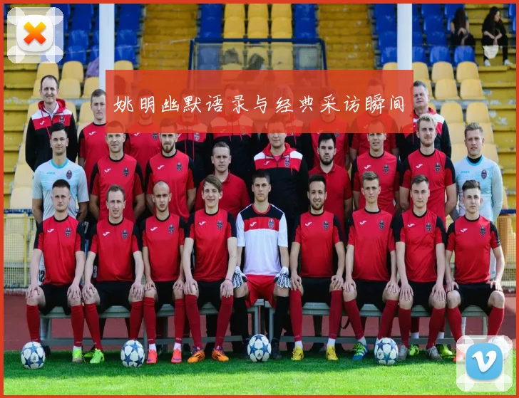 姚明幽默语录与经典采访瞬间